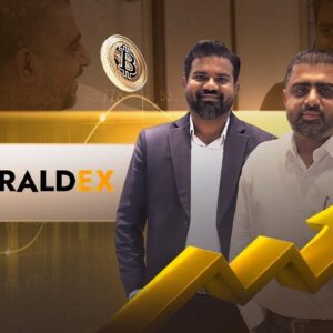 HeraldEX Defines the Future with Its One-Stop Crypto Platform for Businesses