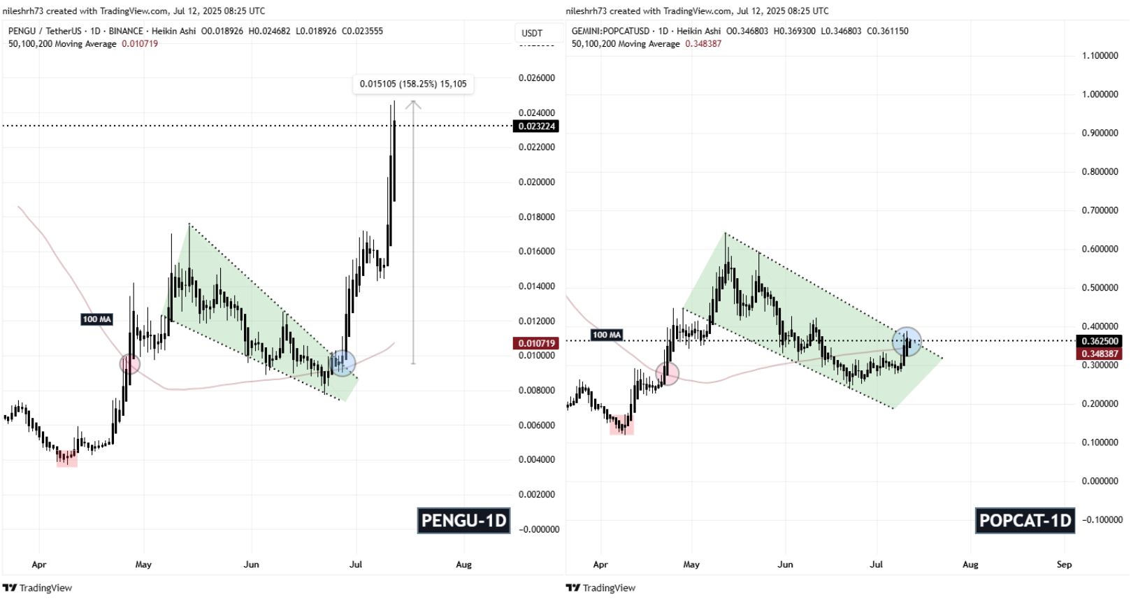PENGU and POPCAT Fractal Chart