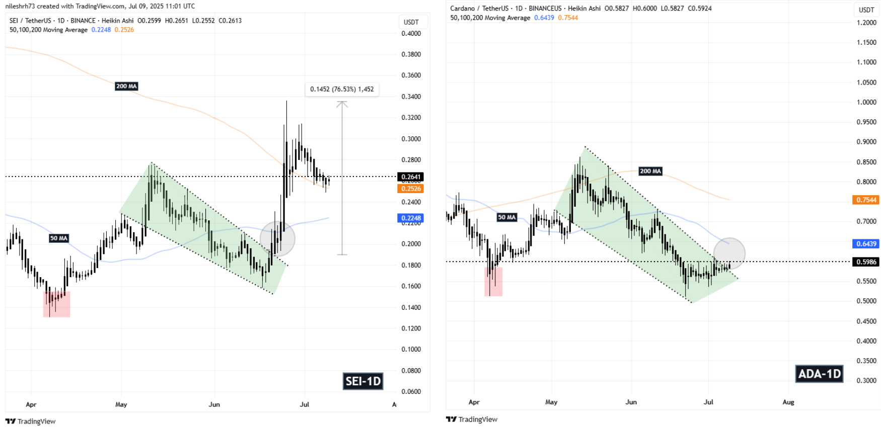 SEI and ADA Fractal Chart