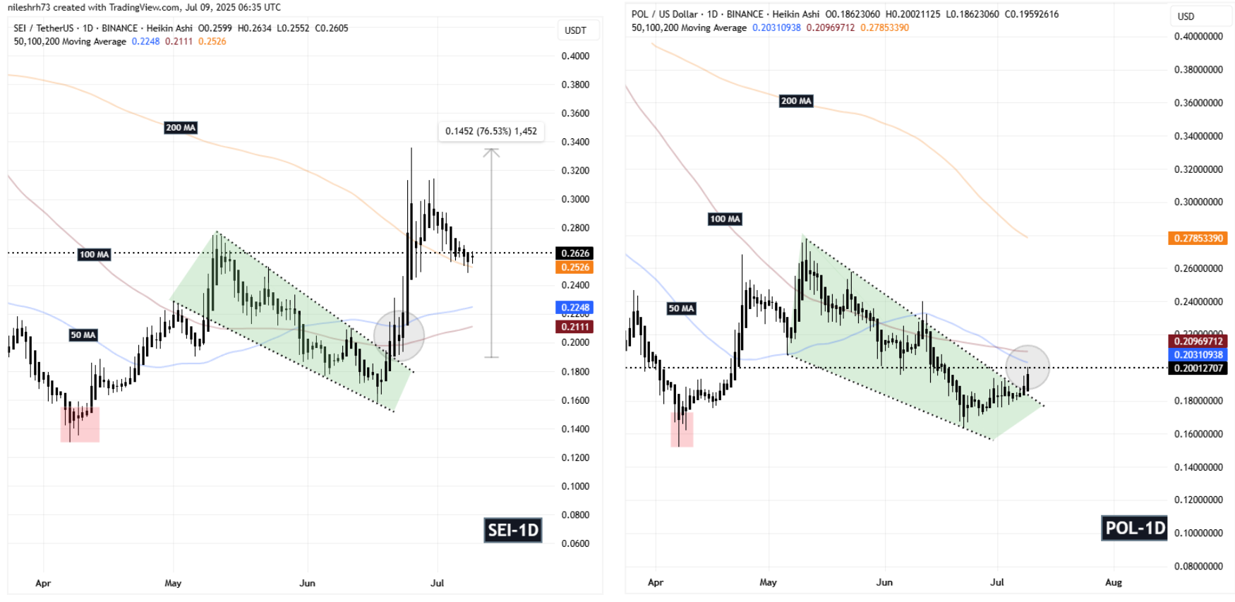SEI and POL Fractal Chart