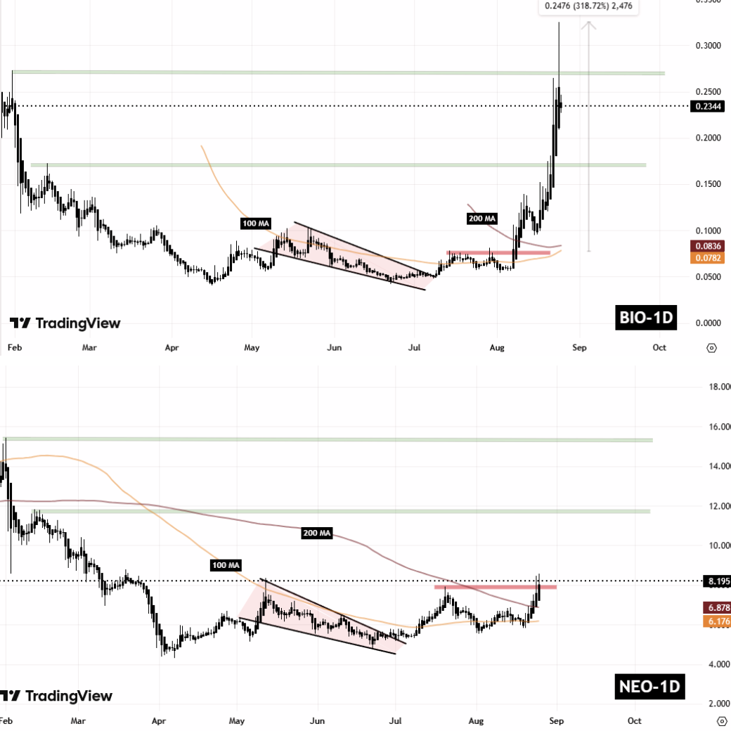 BIO and NEO Fractal Chart