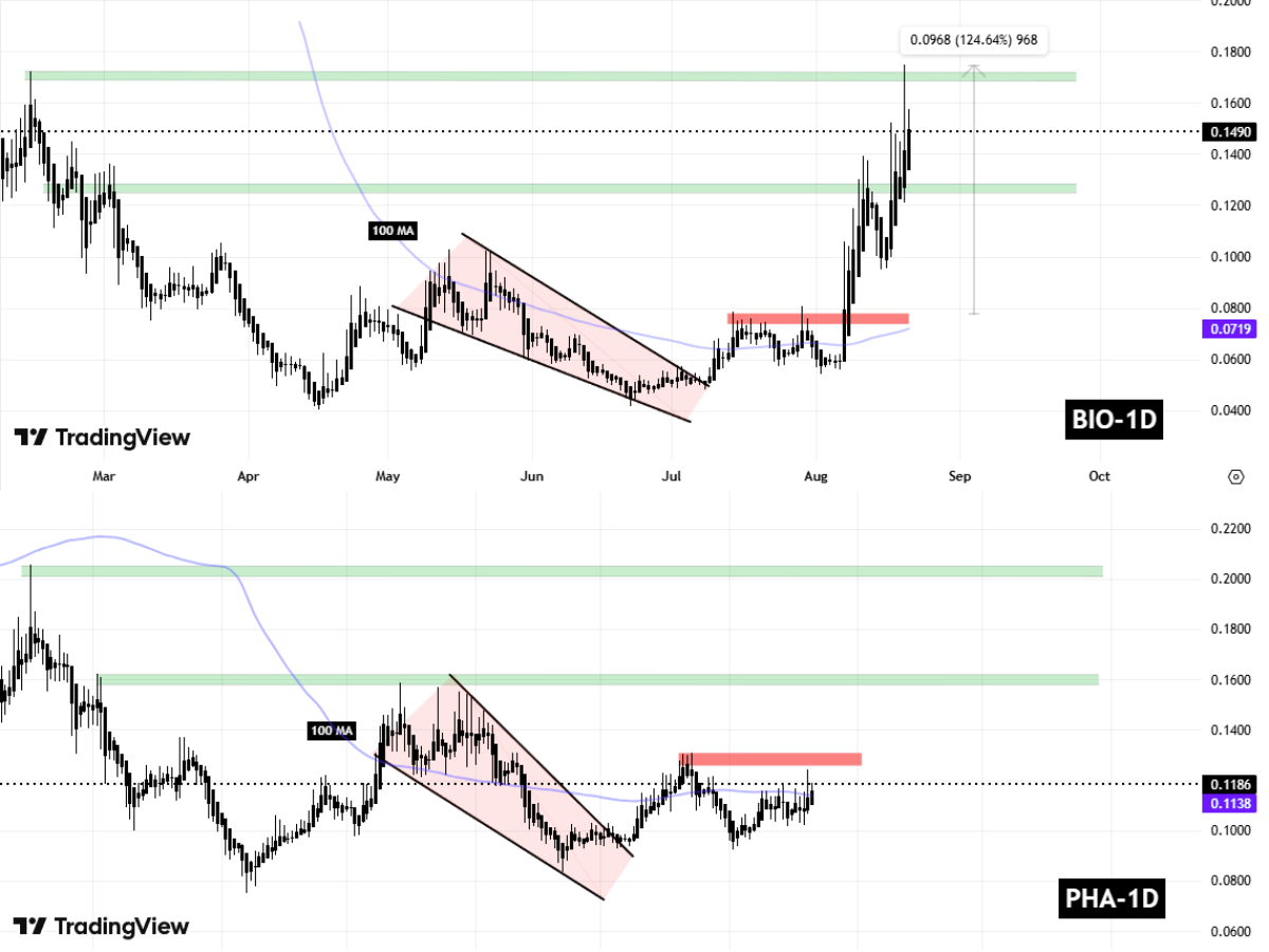BIO and PHA Fractal Chart (1)