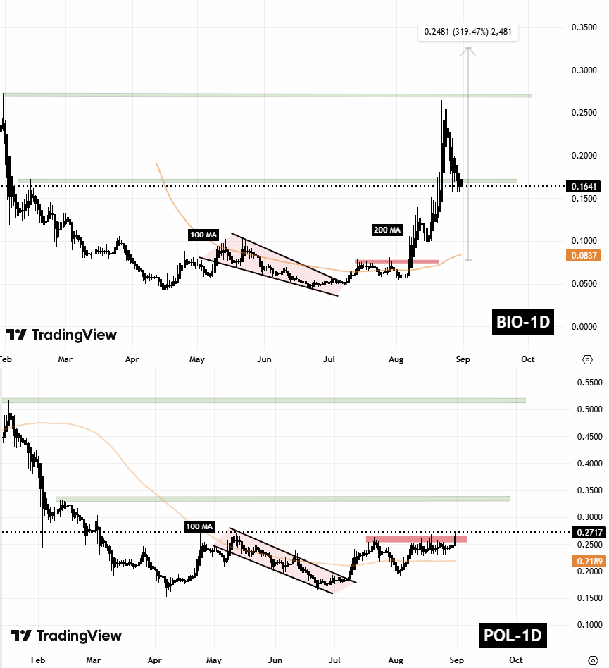 BIO and POL Fractal Chart (1)