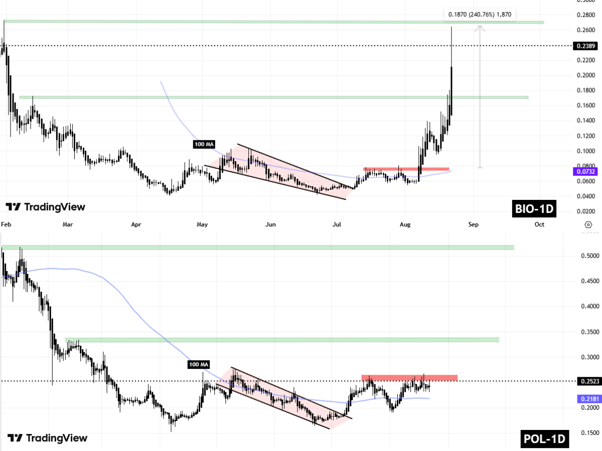 BIO and POL Fractal Chart