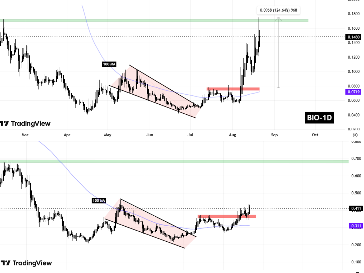 BIO and SCR Fractal Chart