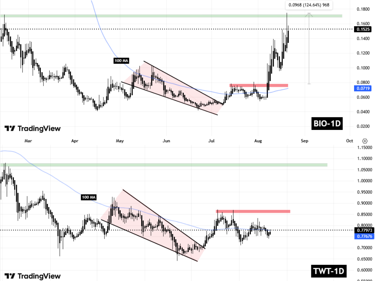 BIO and TWT Fractal Chart