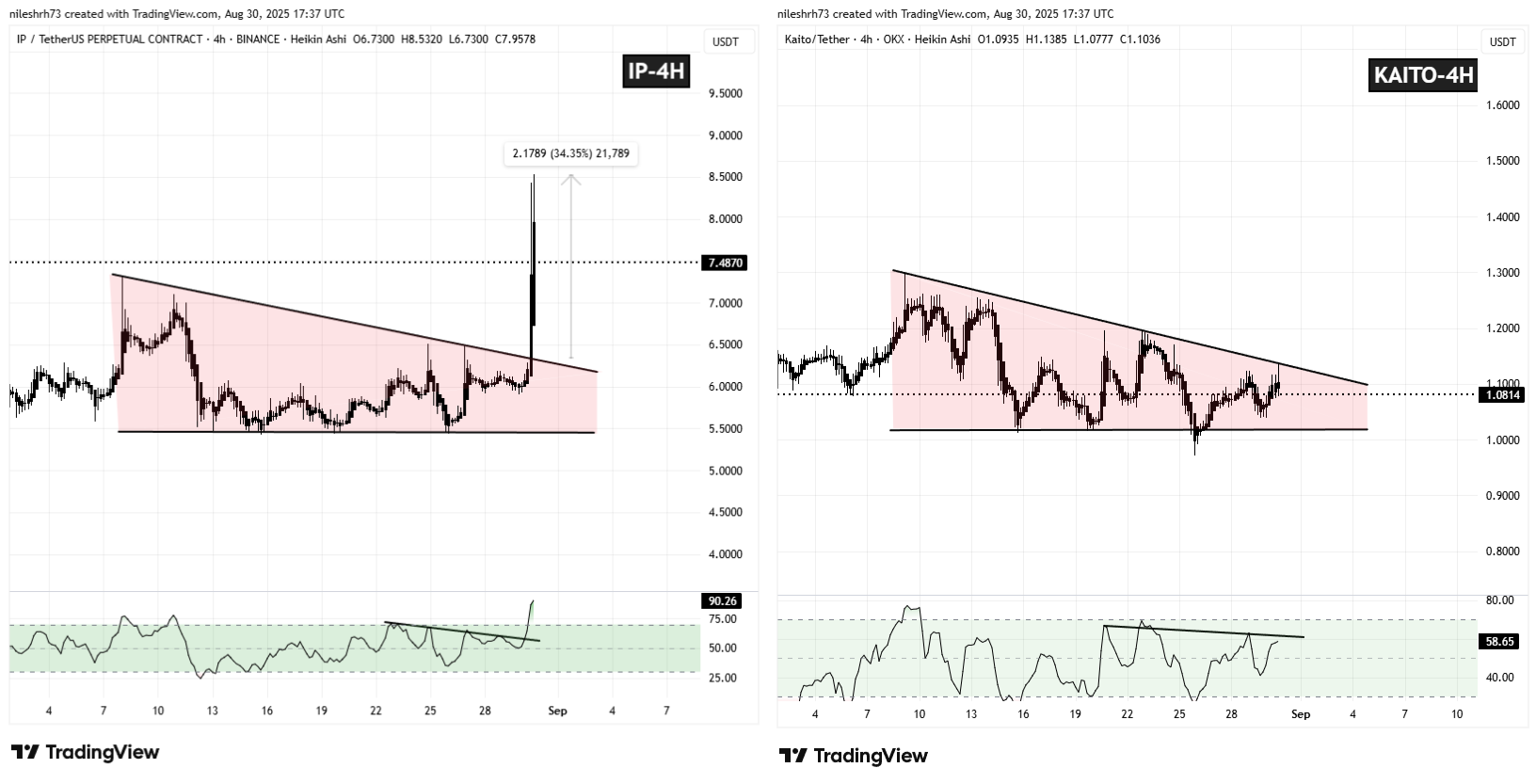 IP and KAITO Fractal Chart (1)