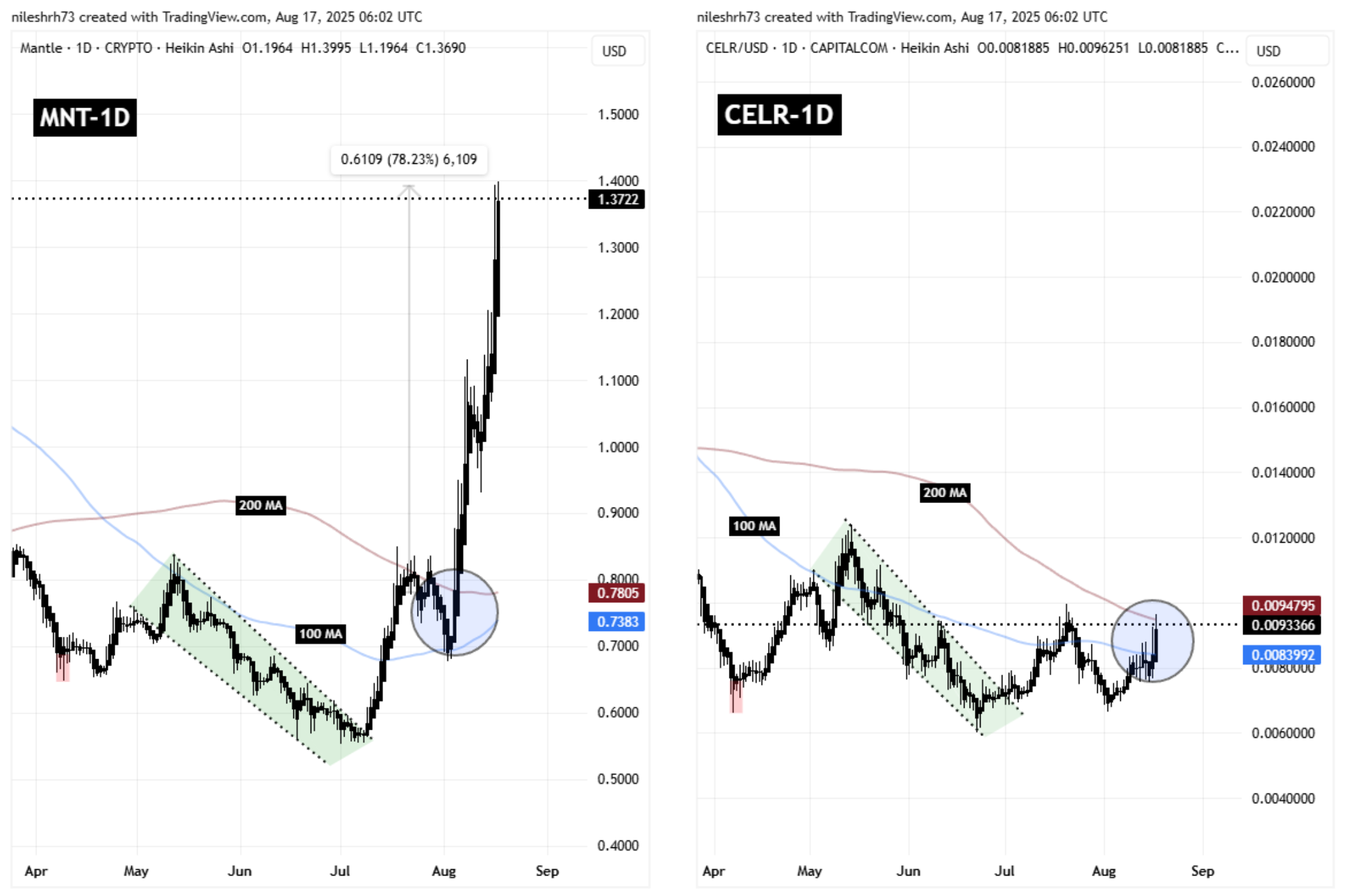 MNT and CELR Fractal Chart