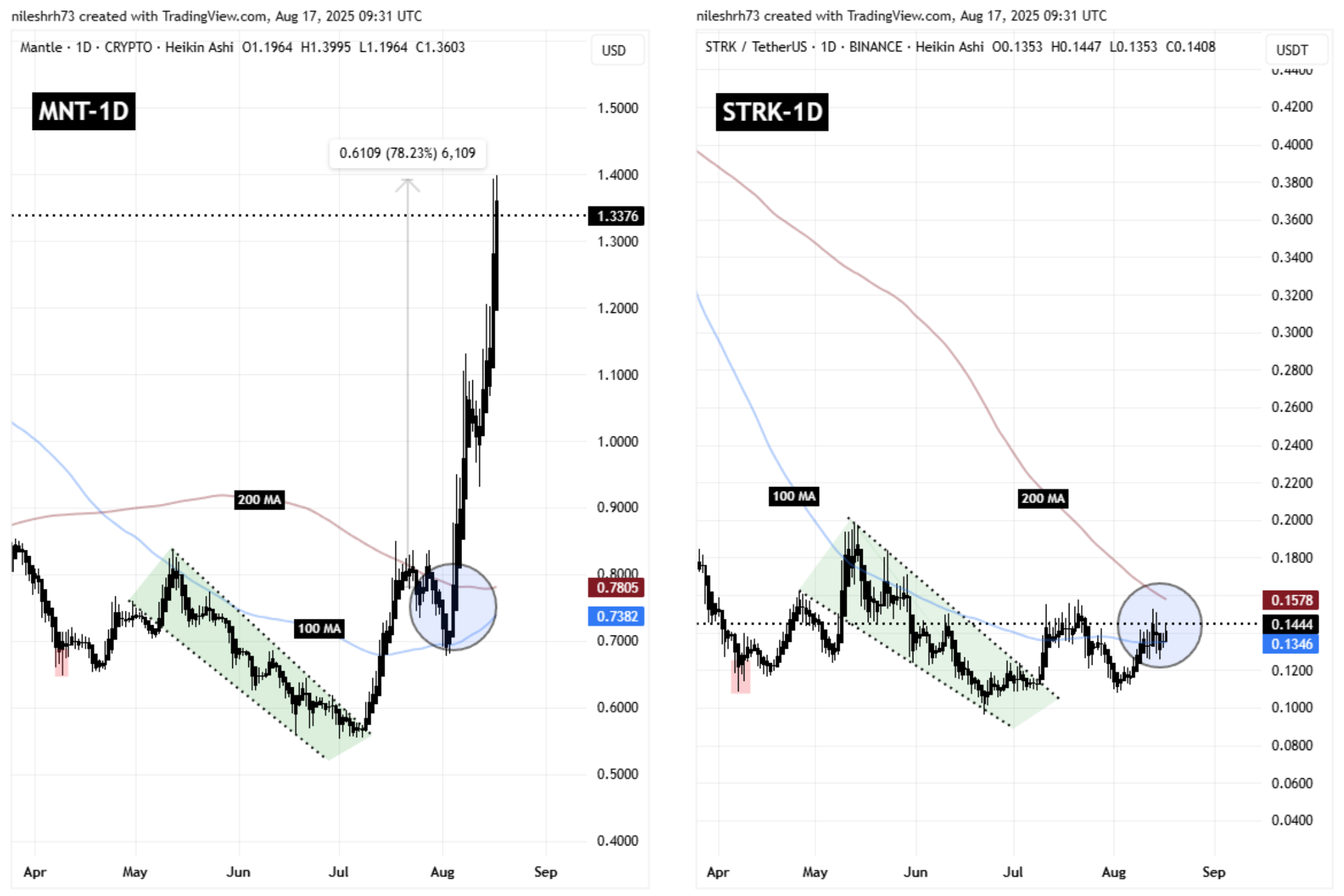 MNT and STRK Fractal Chart