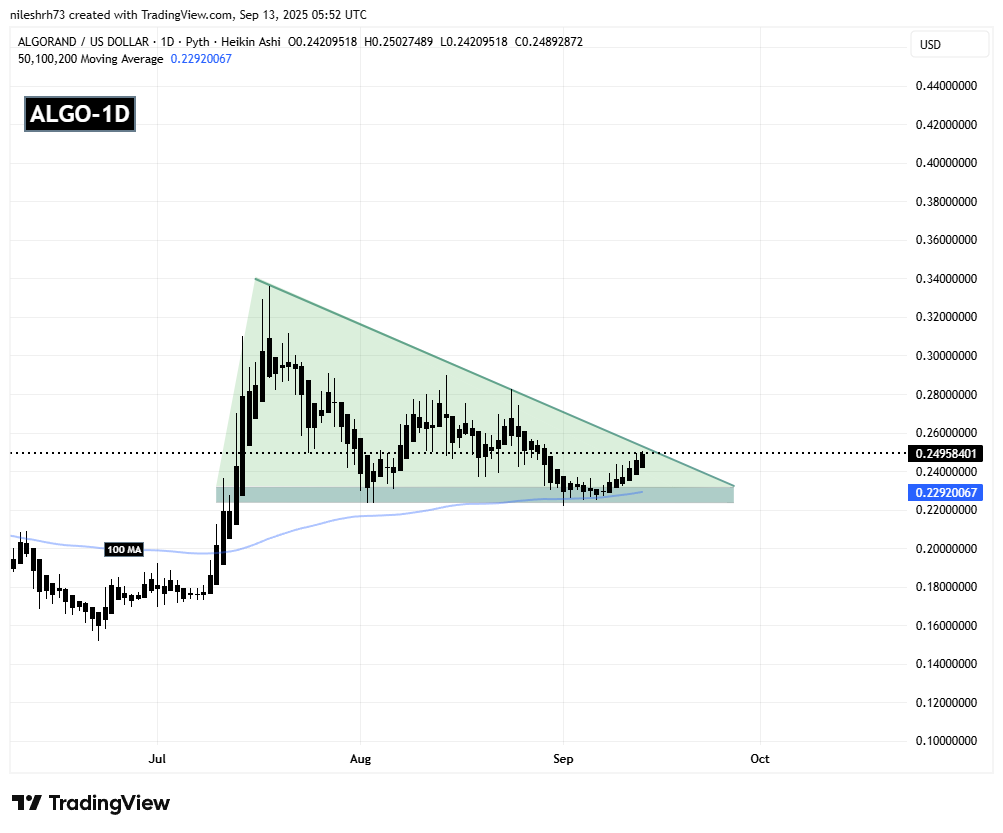 Algorand (ALGO) Daily Chart