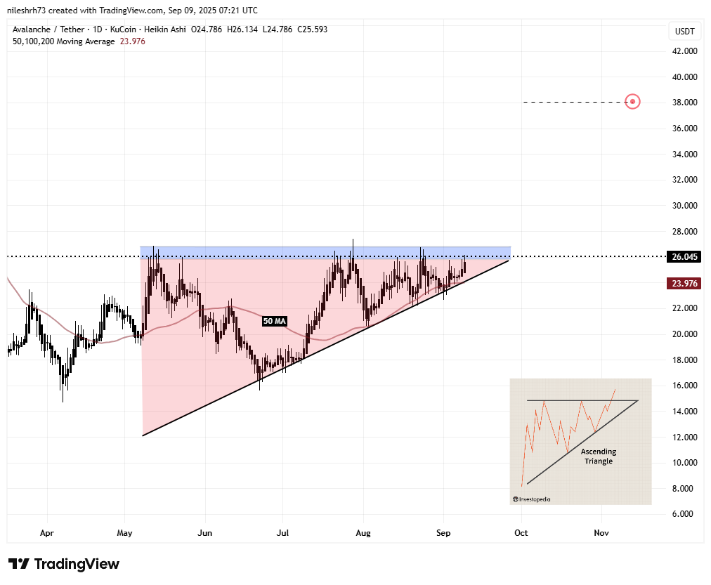 Avalanche (AVAX) Daily Chart/