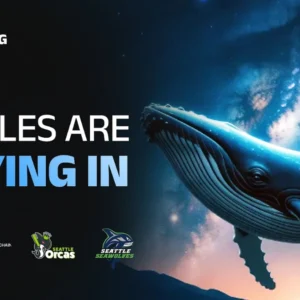 SHIB Defends Support, ALGO Tests Resistance, BlockDAG’s Presale Rockets to $410M as Whales Pour In!