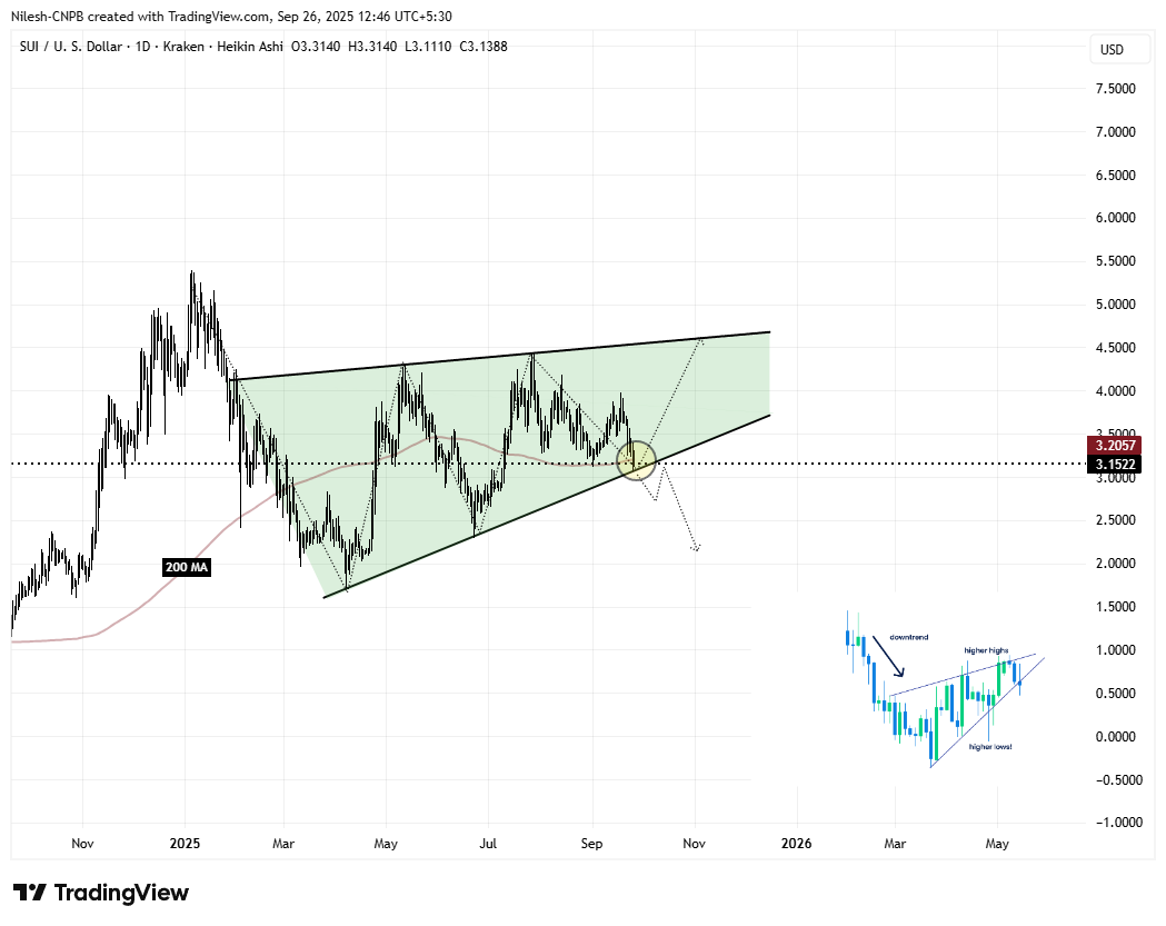 Sui (SUI) Daily Chart/