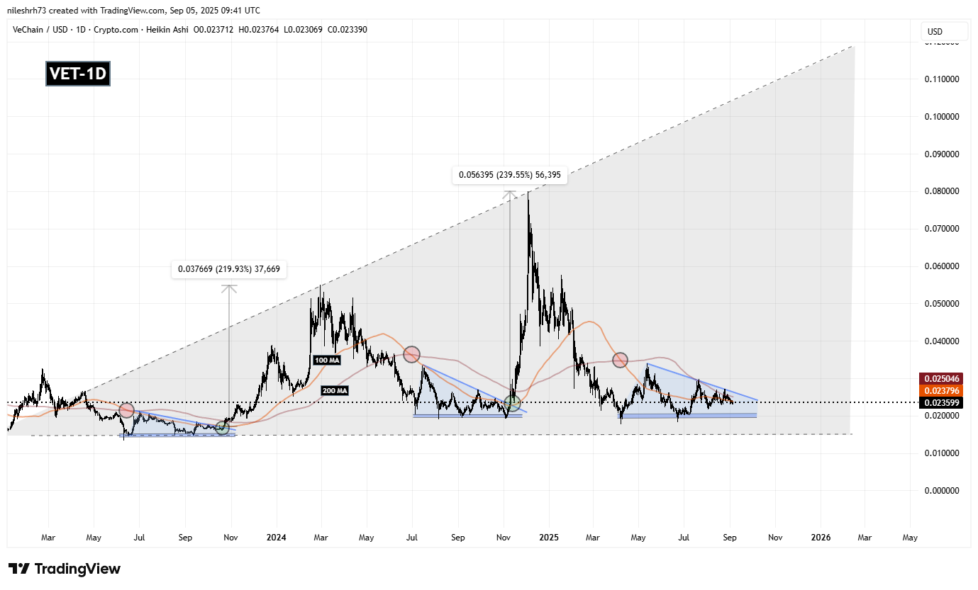 VeChain (VET) Fractal Chart/
