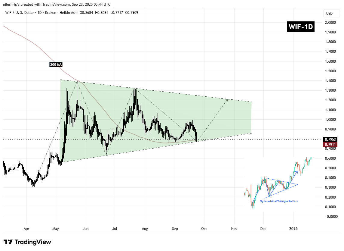 Dogwifhat (WIF) Daily Chart