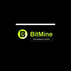 BitMine Immersion (BMNR) Announces Pricing of $365.24MM Registered Direct Offering At $70 per share