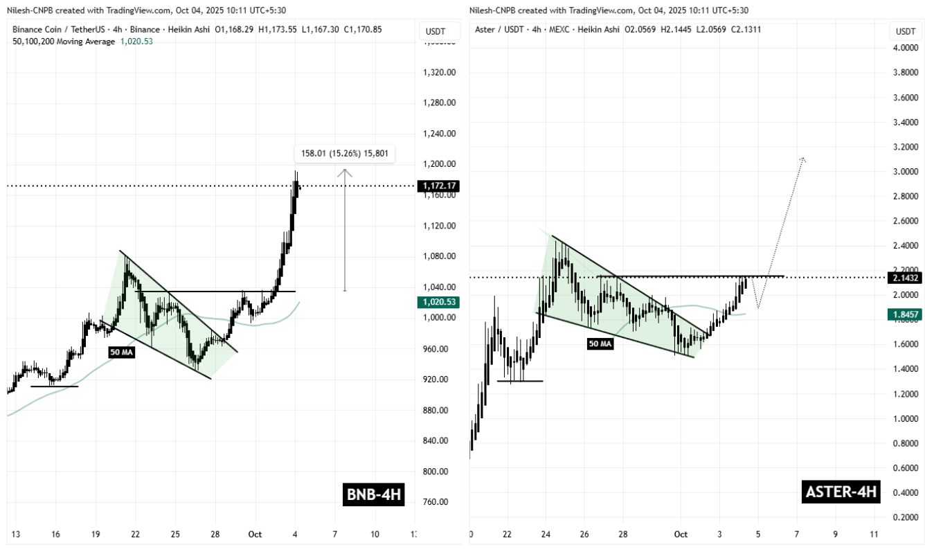 BNB and ASTER Fractal Chart