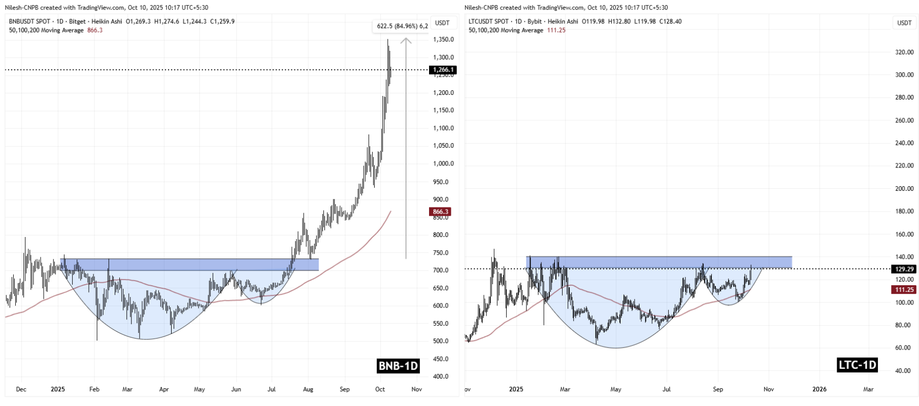 BNB and LTC Fractal Chart