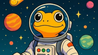 Top Meme Coins to Invest in 2025