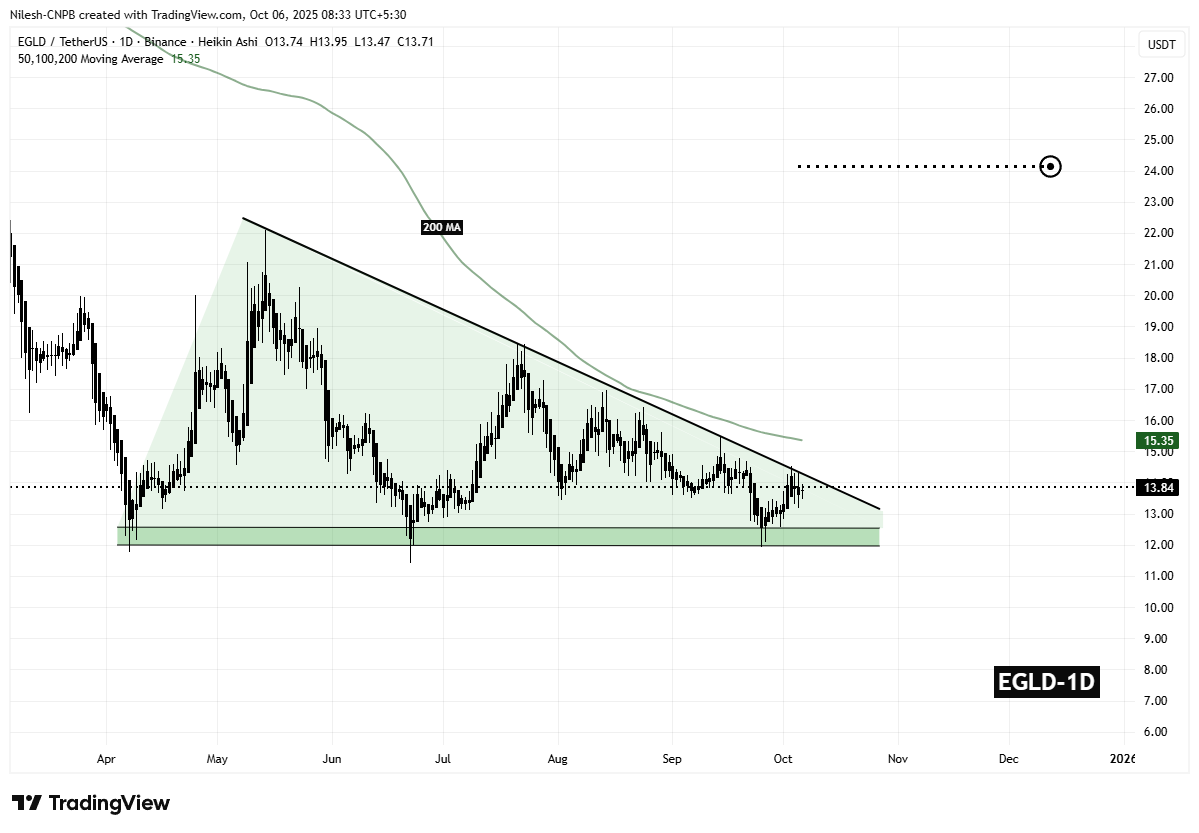 MultiversX (EGLD) Daily Chart