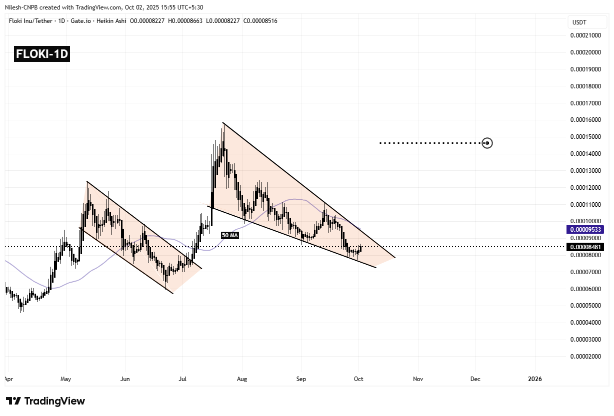 Floki (FLOKI) Daily Chart