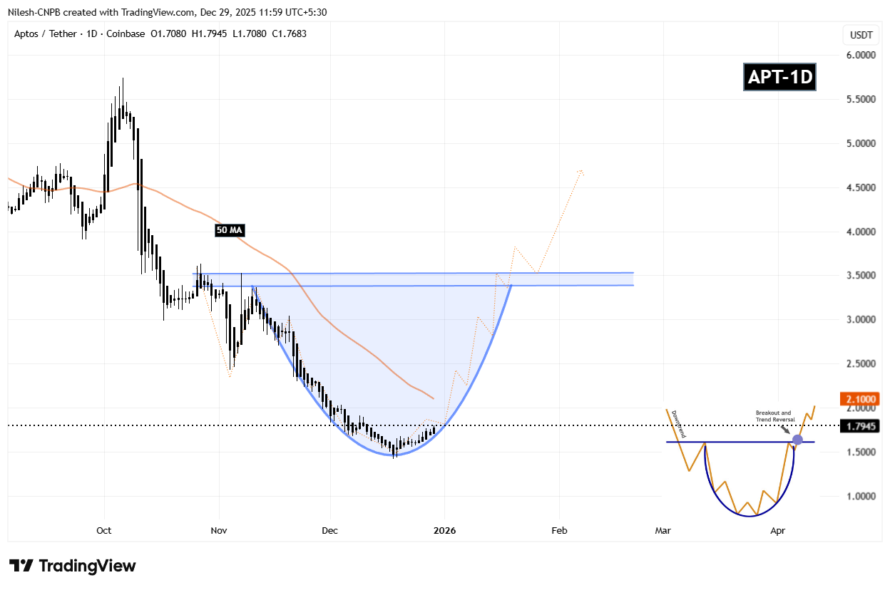 Aptos (APT) Daily Chart