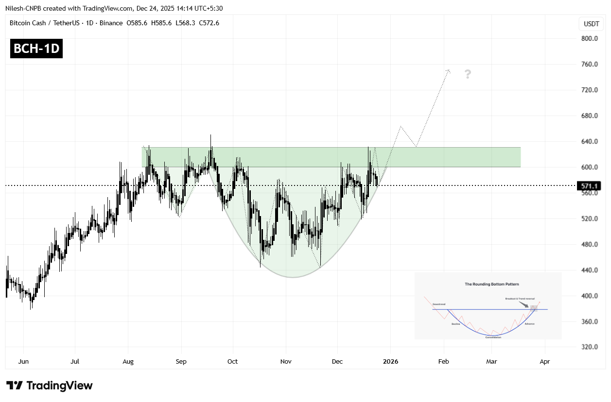 Bitcoin Cash (BCH) Daily Chart