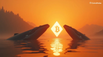 Bitcoin whale accumulation