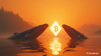 A technical analysis chart showing Bitcoin BTC whale accumulation patterns and a bullish ascending triangle formation for January 2026