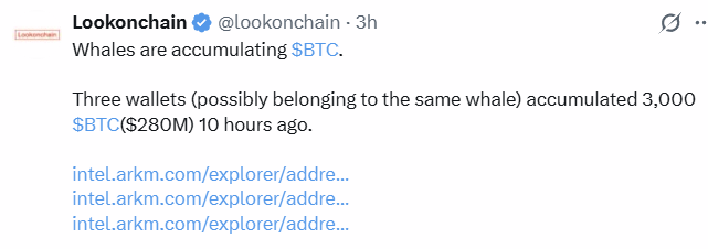 Bitcoin (BTC) Whales Accumulation