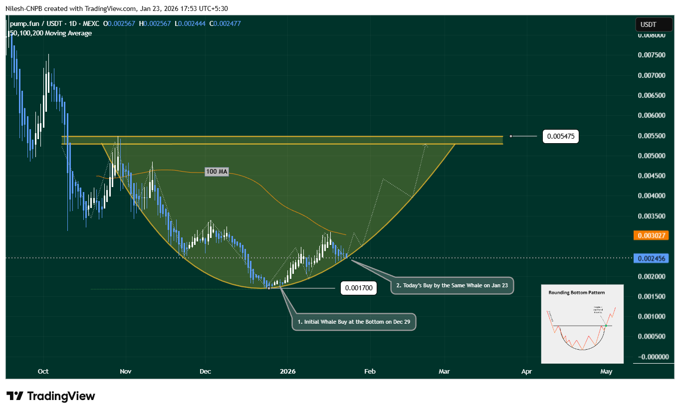 PUMP price chart shows rounding bottom pattern with whale accumulation near support and 100-day moving average resistance