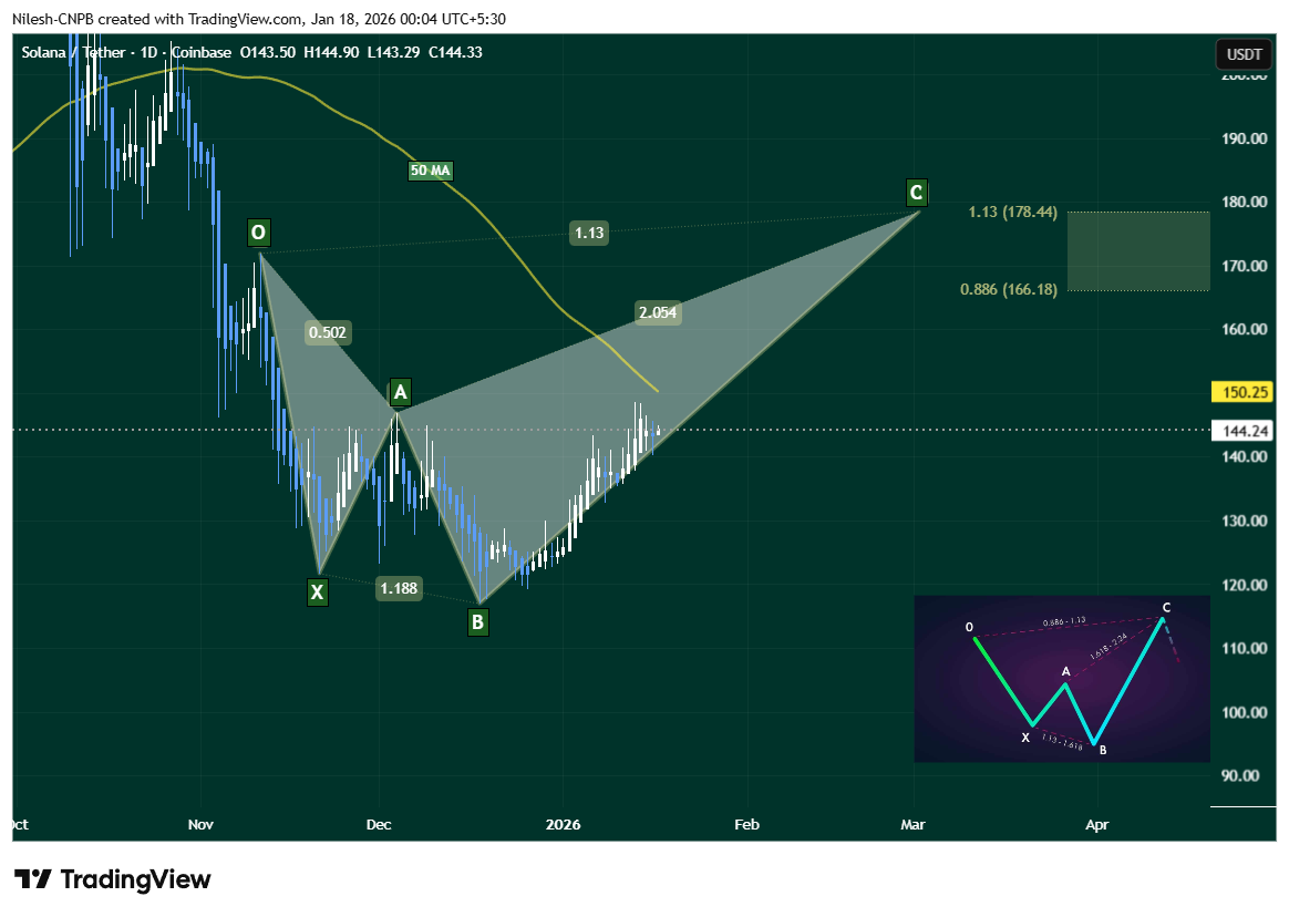 Solana (SOL) Bearish Shark harmonic pattern
