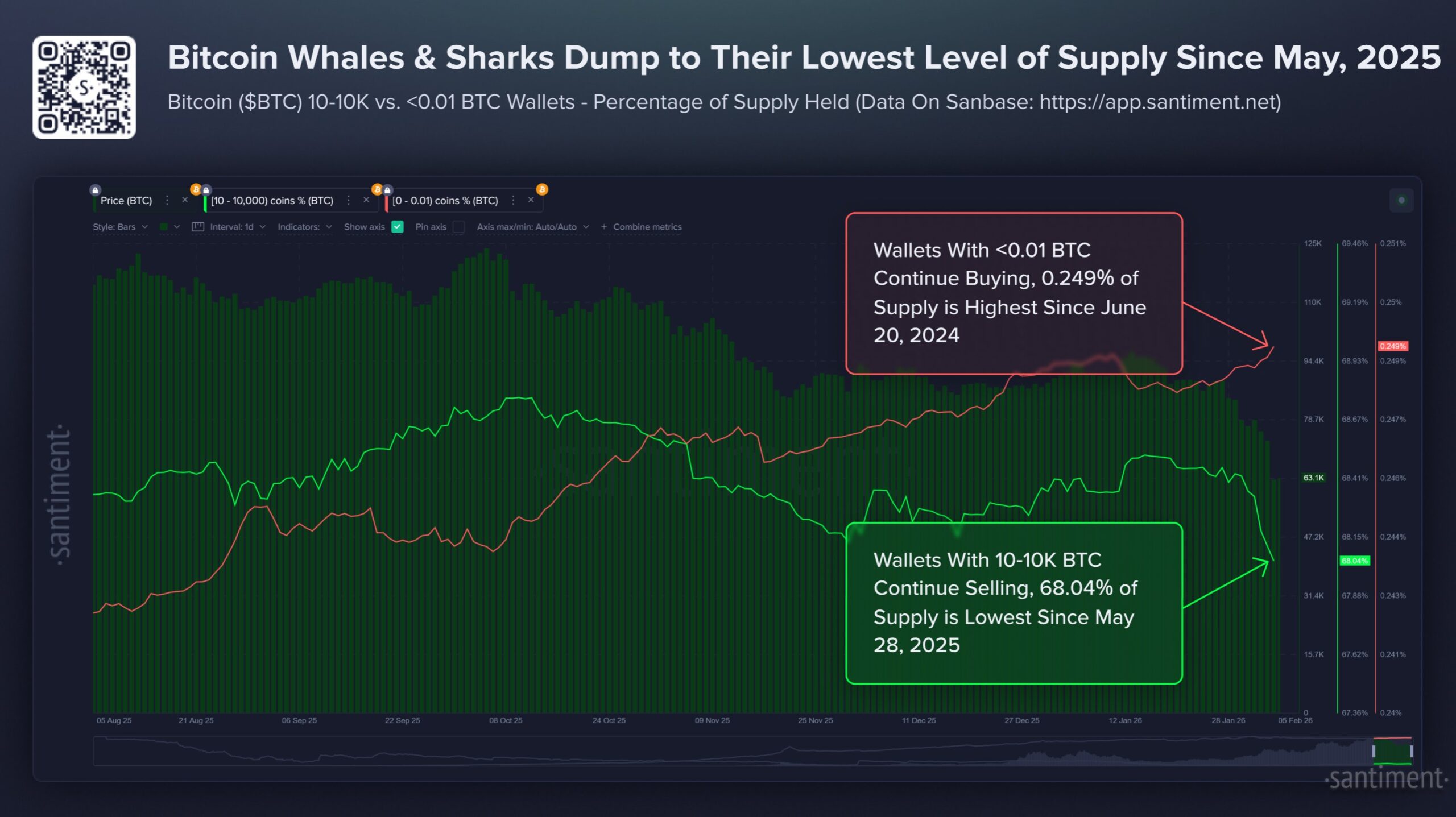 Bitcoin Whales and Retails Holdings