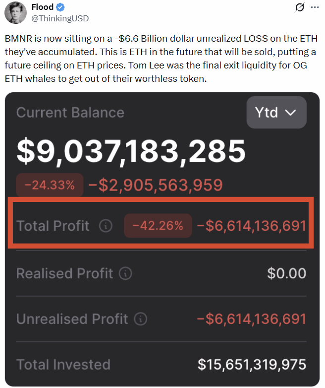 Bitmine ETH Holding Losses