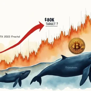 Bitcoin Whales Dive In as FTX Recovery Fractal Points to $80K — Is BTC’s Rebound Ready?