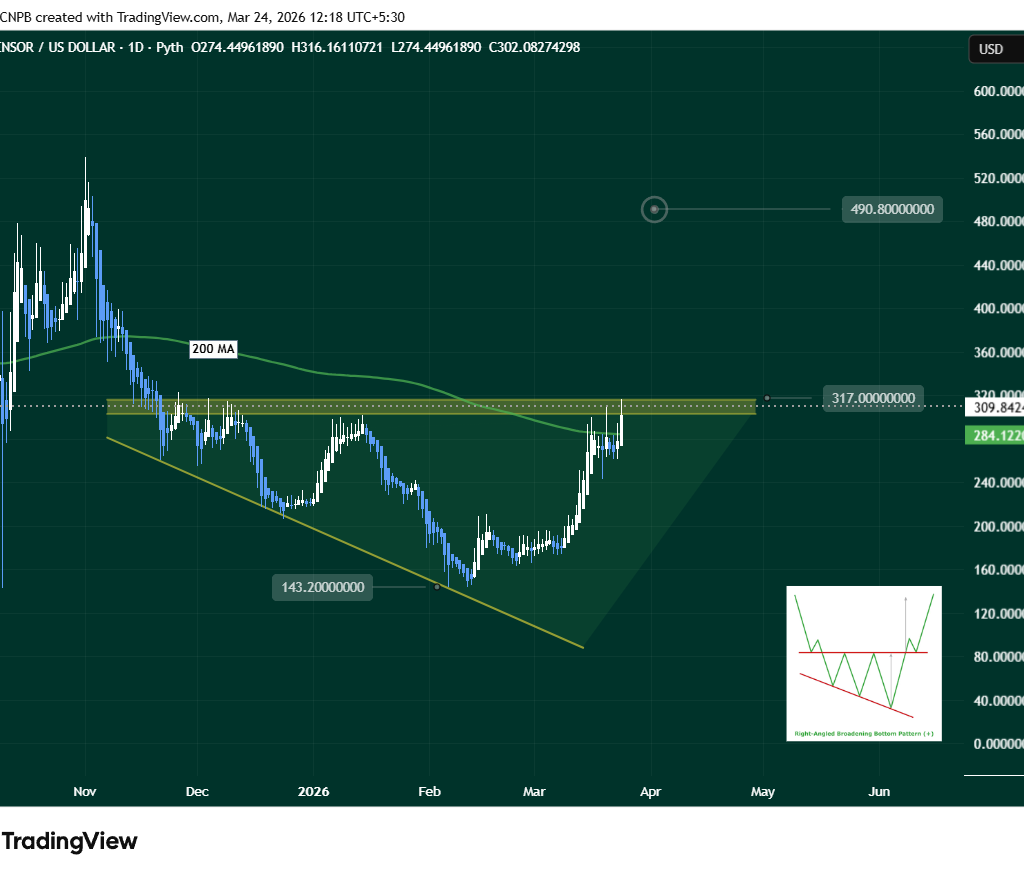 Daily TradingView chart of Bittensor (TAO/USD) showing a Right-Angled Broadening Bottom pattern. Price is currently testing the $317 neckline resistance with the 200-day moving average at approximately $284. Pattern target projected at $490.80 if breakout succeeds. Chart dated March 24, 2026