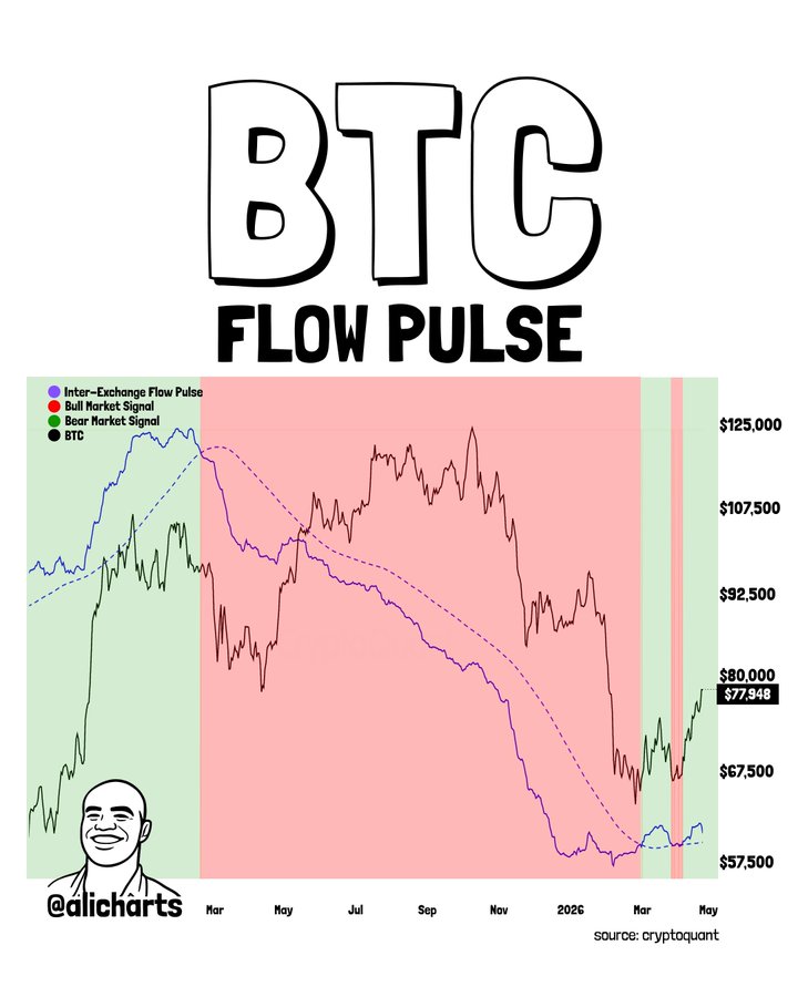 BTC Flow Pulse