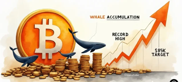 Bitcoin Whale Accumulation Hits Record High – BTC Eyes $85K Target