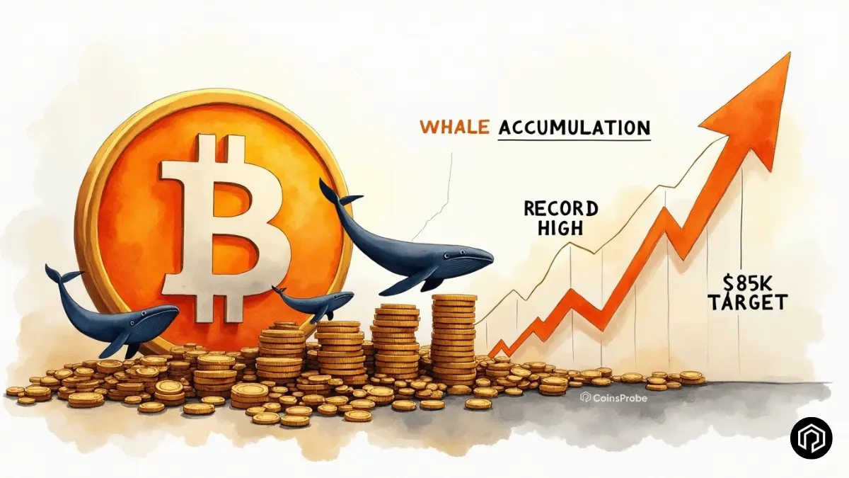 Bitcoin Whale Accumulation Hits Record High – BTC Eyes $85K Target