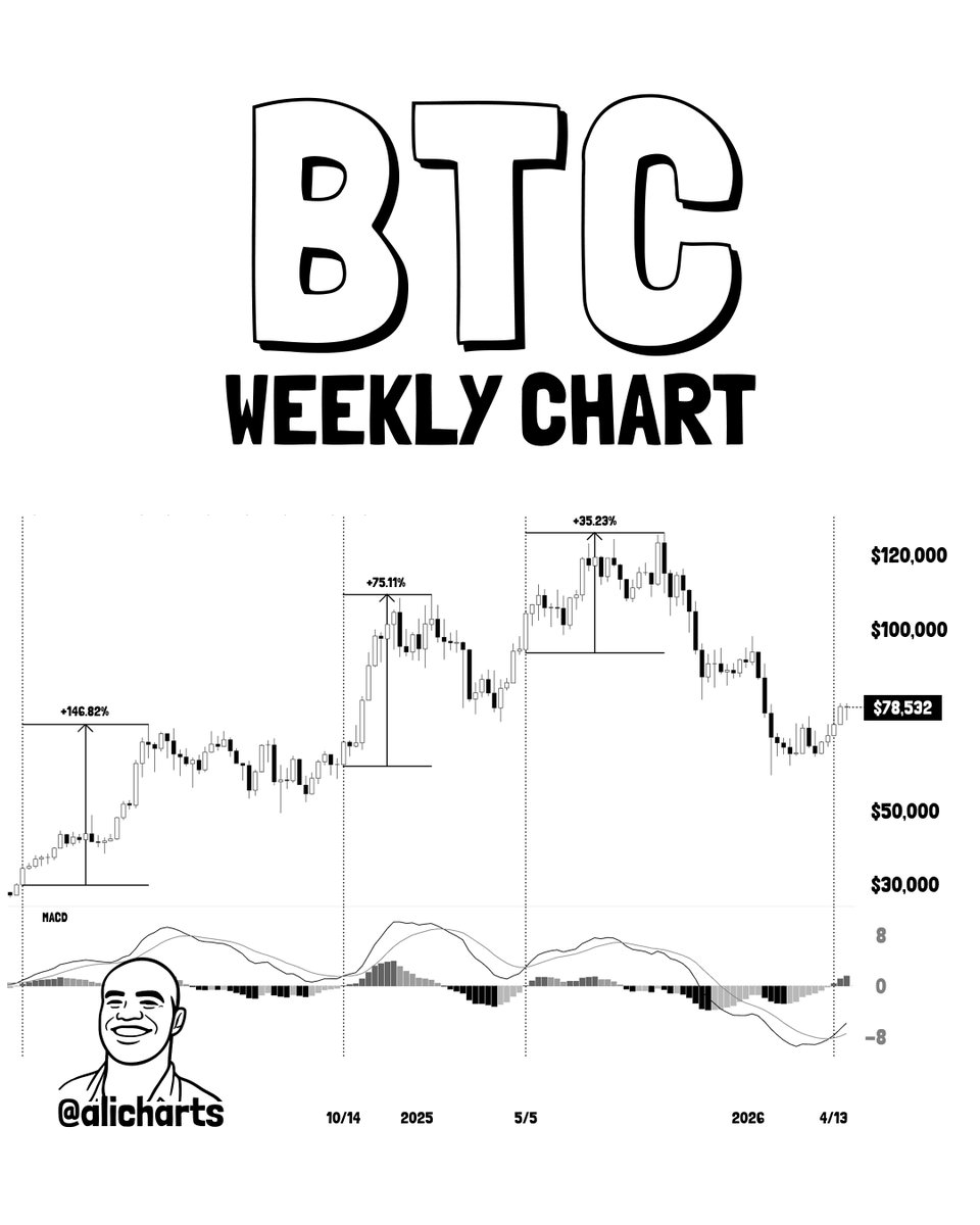 BTC Weekly MACD Chart