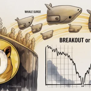 Dogecoin (DOGE) Holds Strong as Whale Activity Surges — Breakout or Pullback Ahead?
