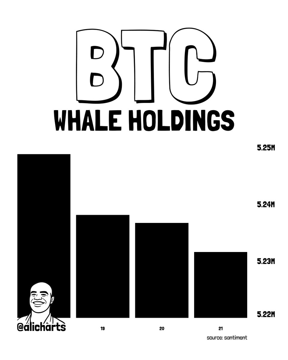 BTC Whale Holdings