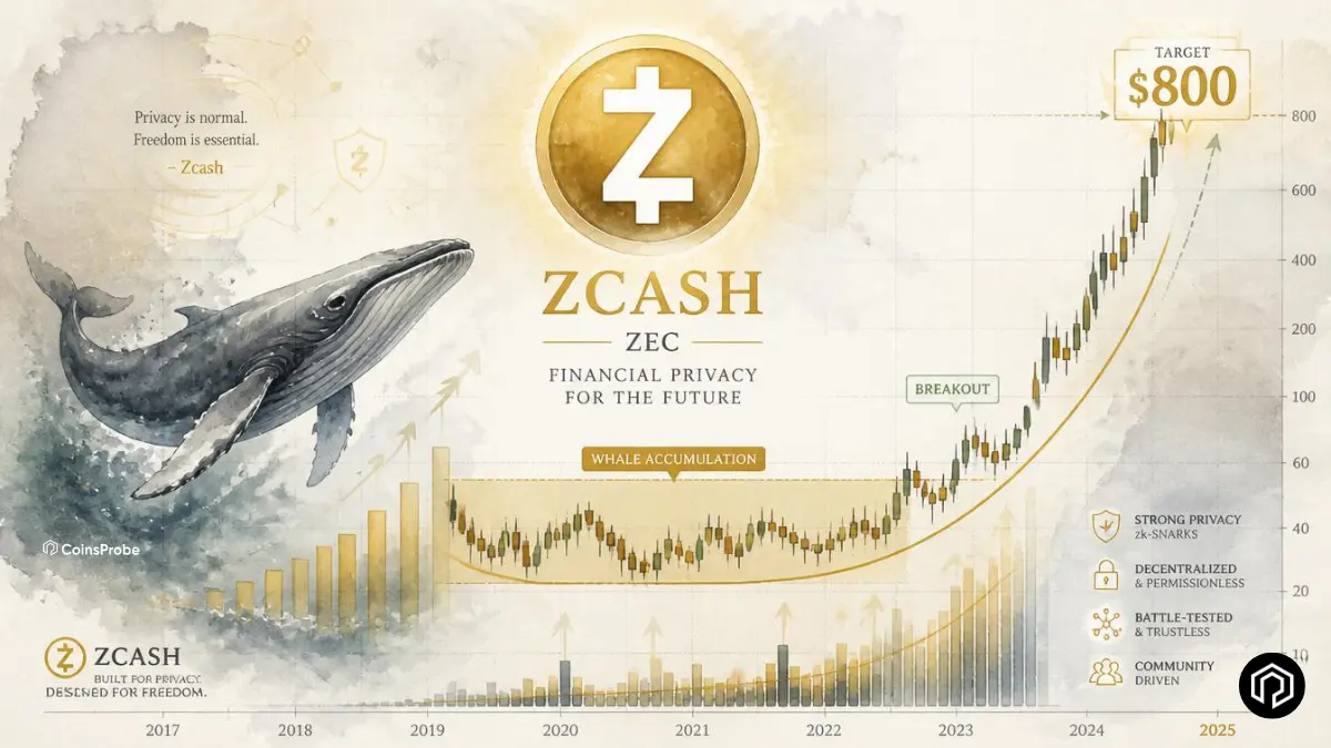 Zcash Whale Bets Big — Could This Setup Trigger a Rally to $800?