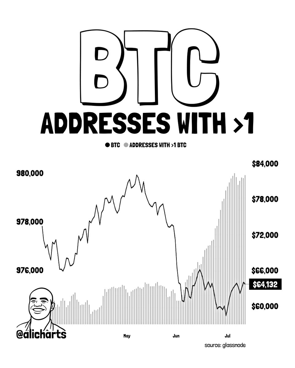 Bitcoin wallets holding more than 1 BTC