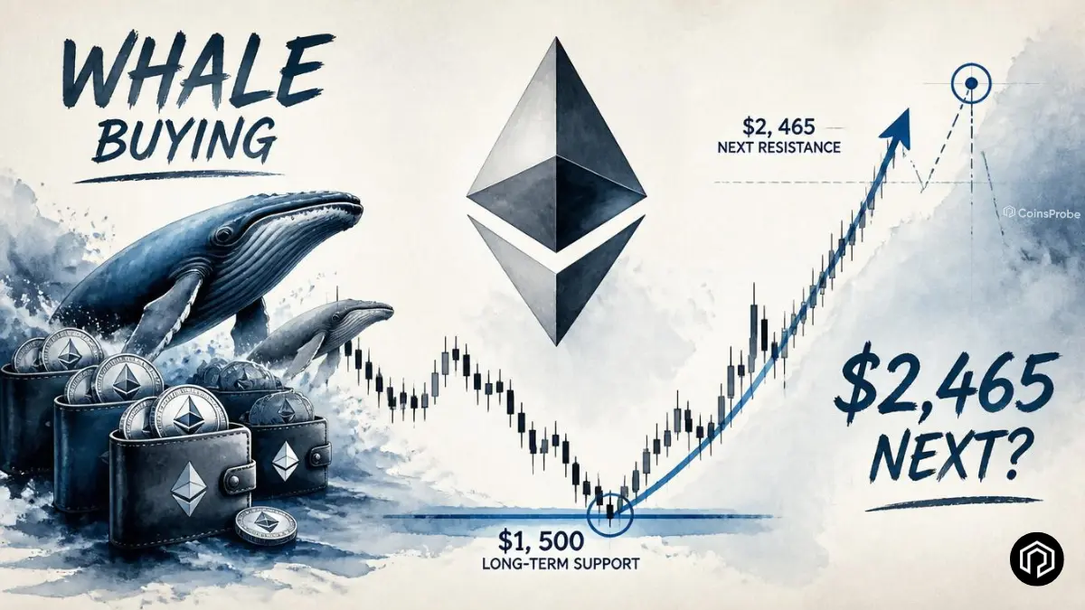 $ETH Rebounds from $1,500 Long-Term Support — Whales Buy Aggressively, Next Target $2,465?