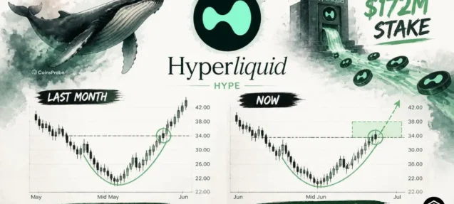 HYPE Mirrors Last Month’s Bottoming Pattern as Whale Stakes $172M – 16% Move Ahead?