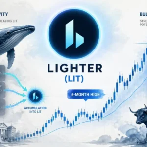 Lighter (LIT) Whale Transactions Hit a 6-Month High — Fueling Bullish Outlook