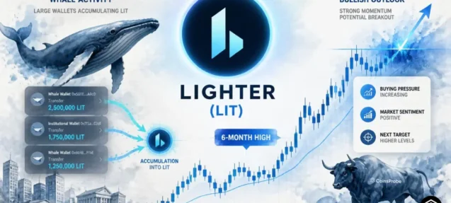 Lighter (LIT) Whale Transactions Hit a 6-Month High — Fueling Bullish Outlook