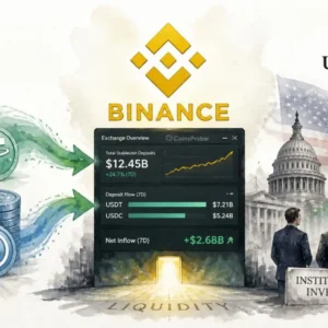Stablecoin Liquidity Returns: Binance Deposits Rise as US Investors Resume Inflows