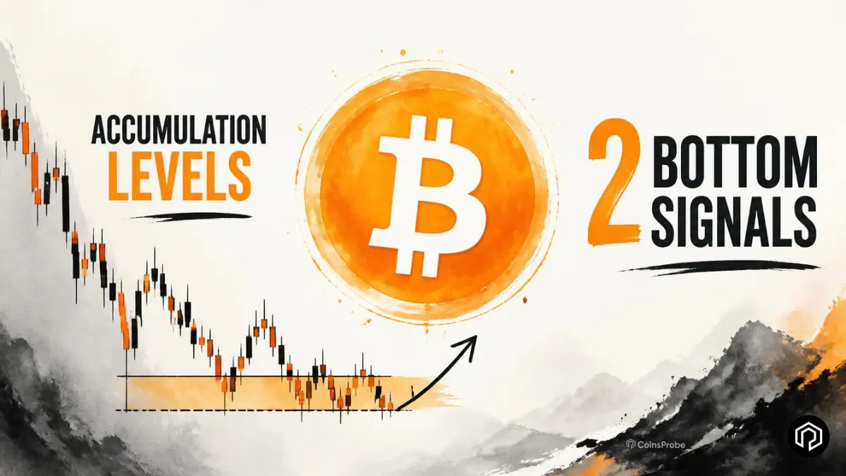 Bitcoin Nears Major Accumulation Levels as Two Bottom Signals Align